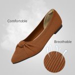 TINGRISE Women's Washable Pointed Toe Flats - Brown
