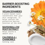 Pacifica Vegan Ceramide Face Moisturizer for Dry Skin