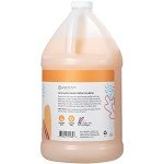 Ginger Lily Farms Moisturizing Vegan Shampoo 8oz