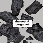 Charcoal & Bergamot Vegan Clarifying Shampoo 13.5 Oz
