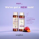 Vegan Biotin & Superfruit Hair Care Set