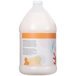 Coco Mango Vegan Conditioner by Ginger Lily Farms