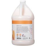 Coco Mango Vegan Conditioner by Ginger Lily Farms