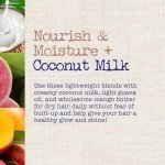 Coconut Milk Nourishing Shampoo - 13 Ounce