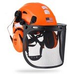 3-in-1 Forestry Helmet with Face Shield & Ear Muffs