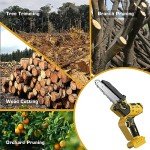 Dewalt 20V MAX Mini Chainsaw - 2-in-1 Pruner