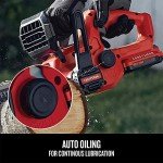 CRAFTSMAN V20 10-Inch Mini Chainsaw with Battery