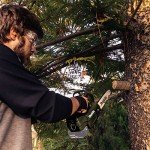 Makita 18V LXT 12" Top Handle Chainsaw