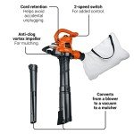 BLACK+DECKER 3-in-1 Leaf Blower and Vacuum