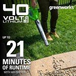 Greenworks 40V Cordless Leaf Blower and Vacuum