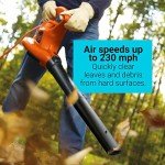 BLACK+DECKER 3-in-1 Leaf Blower and Vacuum