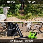 Greenworks 40V Cordless Leaf Blower and Vacuum