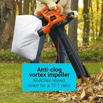 BLACK+DECKER 3-in-1 Leaf Blower and Vacuum