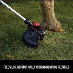 CRAFTSMAN V20 Cordless String Trimmer & Edger