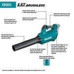 Makita 18V LXT Brushless Cordless Combo Kit