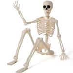 36" Poseable Halloween Skeleton Decoration Prop