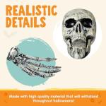 5 Pcs Life Size Skeleton Yard Stakes for Halloween