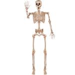 5.6 FT Realistic Posable Halloween Skeleton Decor