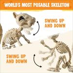 Squirrel Skeleton Halloween Decoration with Movable Joints