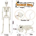 36'' Poseable Halloween Skeleton with Dog Decoration
