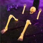 5 Piece LED Life Size Skeleton Yard Stakes