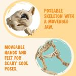 Squirrel Skeleton Halloween Decoration with Movable Joints