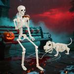 36'' Poseable Halloween Skeleton with Dog Decoration