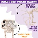 Posable Halloween Dog Skeleton with Movable Joints