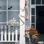 5.6 FT Realistic Posable Halloween Skeleton Decor