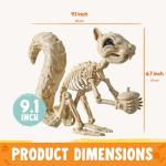 Squirrel Skeleton Halloween Decoration with Movable Joints