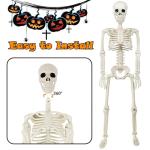 36'' Poseable Halloween Skeleton with Dog Decoration