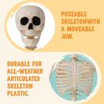 36" Poseable Halloween Skeleton Decoration Prop