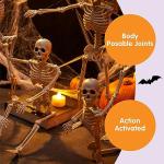 5 Pack Posable Halloween Skeleton Decor - 16 Inches
