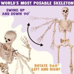 5.6 FT Realistic Posable Halloween Skeleton Decor