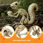 Squirrel Skeleton Halloween Decoration with Movable Joints