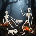 36'' Poseable Halloween Skeleton with Dog Decoration