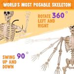 5 FT Poseable Life-Size Halloween Skeleton Decor