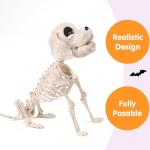 Posable Halloween Dog Skeleton with Movable Joints