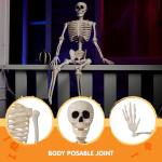 36" Poseable Halloween Skeleton Decoration Prop