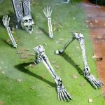 5 Pcs Life Size Skeleton Yard Stakes for Halloween