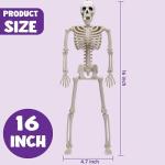 5 Pack Posable Halloween Skeleton Decor - 16 Inches