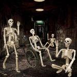 2 Pack 3ft Life-Size Halloween Skeletons