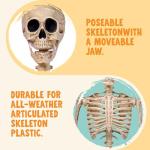5 FT Poseable Life-Size Halloween Skeleton Decor