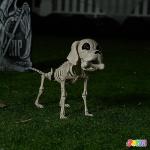Posable Halloween Dog Skeleton with Movable Joints