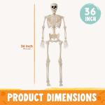 36" Poseable Halloween Skeleton Decoration Prop