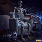 5.6 FT Realistic Posable Halloween Skeleton Decor