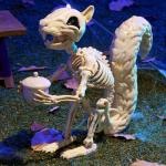 Squirrel Skeleton Halloween Decoration with Movable Joints