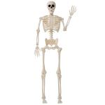 36" Poseable Halloween Skeleton Decoration Prop