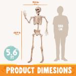 5.6 FT Realistic Posable Halloween Skeleton Decor