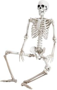 36" Movable Halloween Skeleton Decoration for Parties